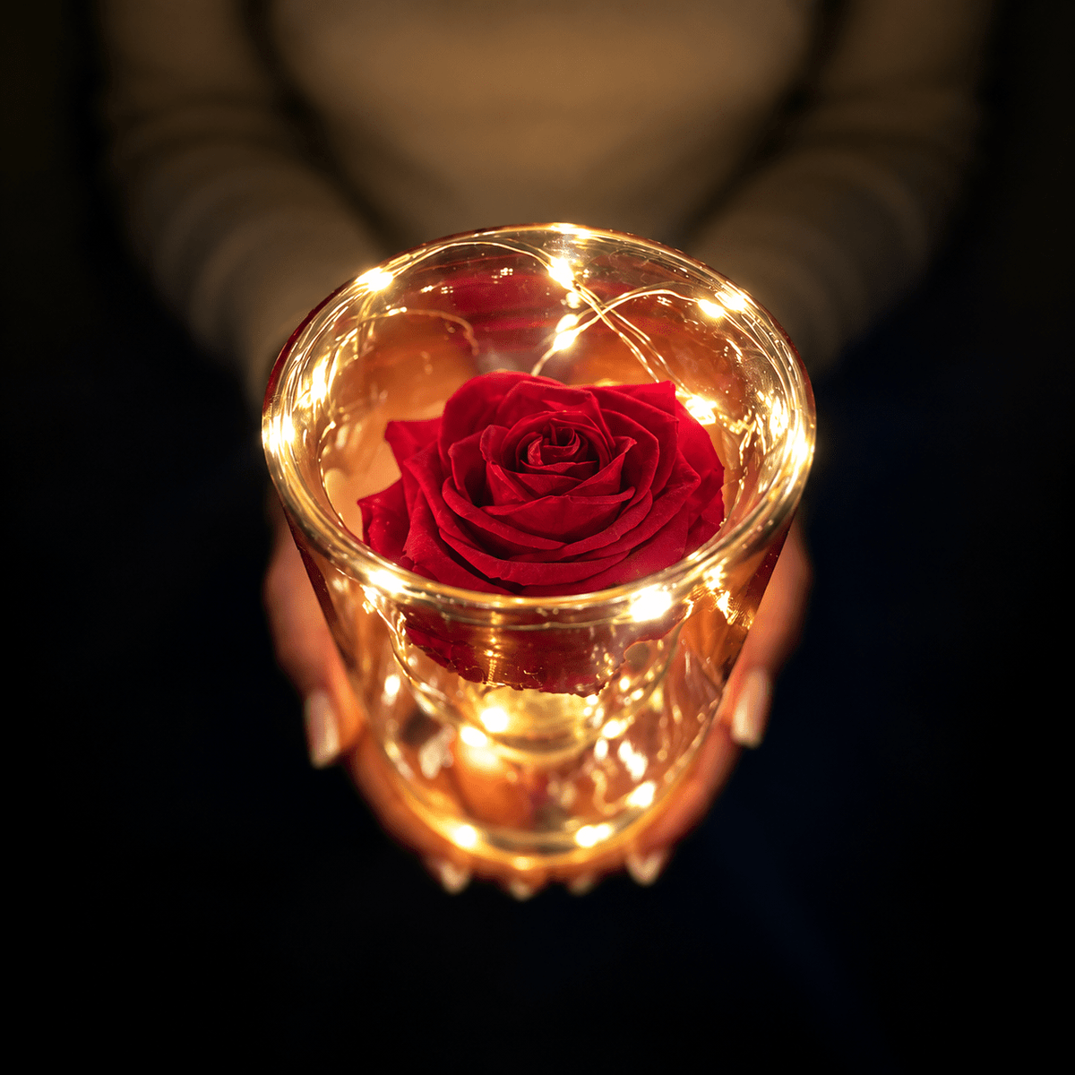 Forever Rose με Φωτισμό