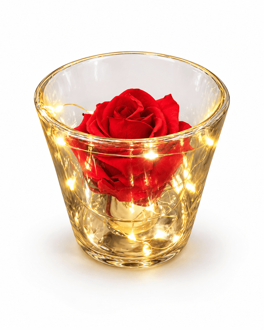 Forever Rose με Φωτισμό