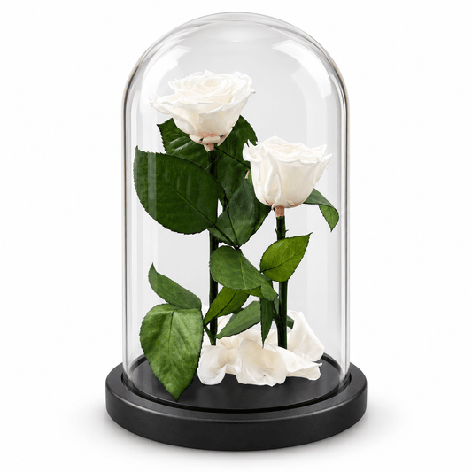 Forever Roses Λευκά Τριαντάφυλλα