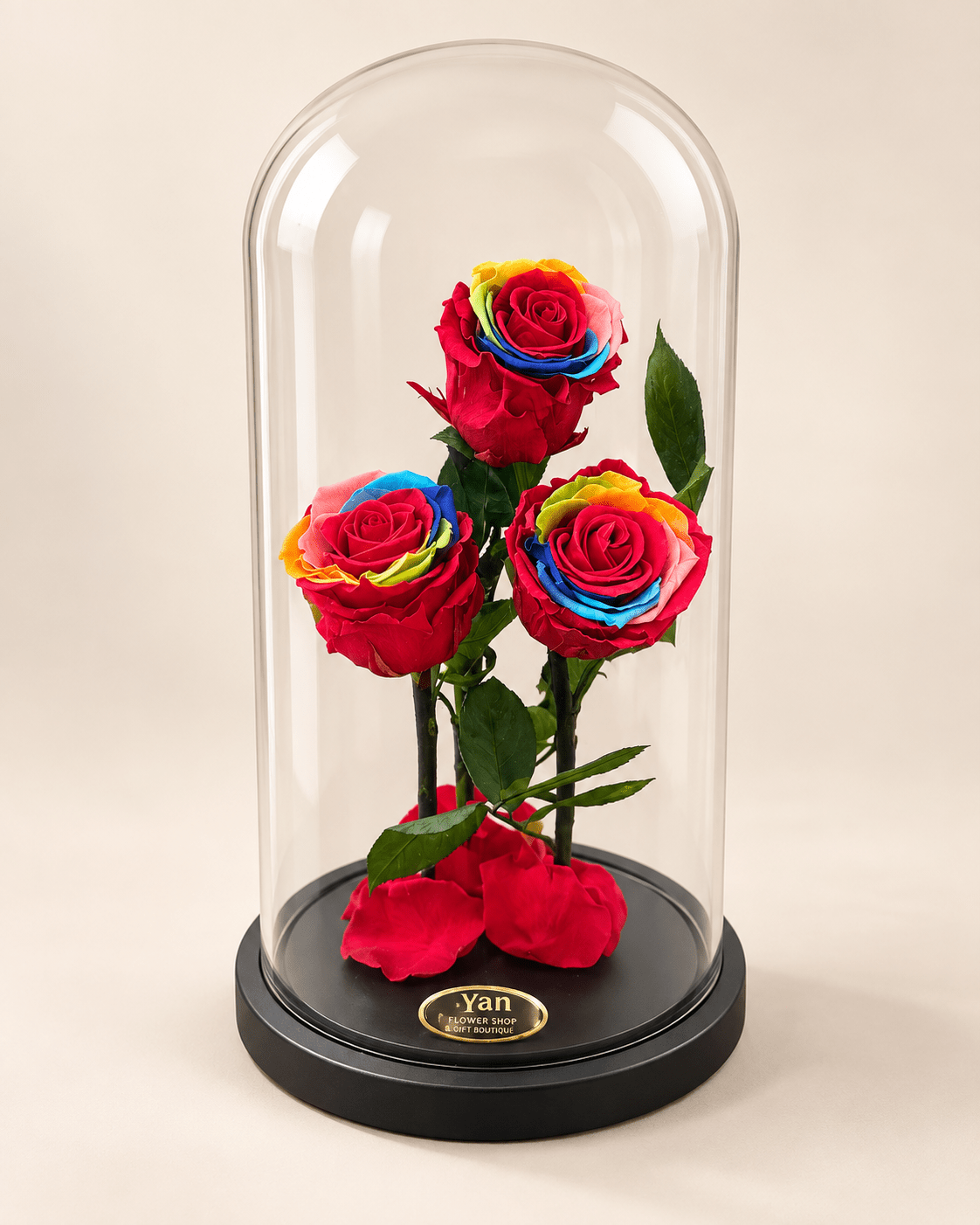Τριπλό Rainbow Forever Rose